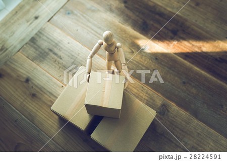 ダンボール ダンボール 28224591