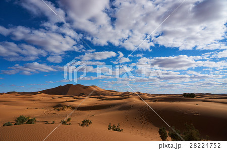 モロッコ　サハラ砂漠　メルズーガの大砂丘 28224752