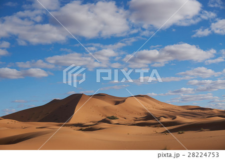 モロッコ　サハラ砂漠　メルズーガの大砂丘 28224753