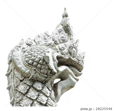 Serpent of asia style Serpent of asia style 28225549