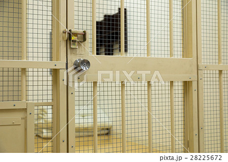 刑務所、留置所、犯罪、逮捕、保留、監獄、牢屋、拘束、犯人、牢獄、詐欺、捕まえる、警察、男性、日本人 刑務所、留置所、犯罪、逮捕、保留、監獄、牢屋、拘束、犯人、牢獄、詐欺、捕まえる、警察、男性、日本人 28225672