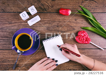 Moman hands writing greetings. Pink Tulip Flower Moman hands writing greetings. Pink Tulip Flower 28227536