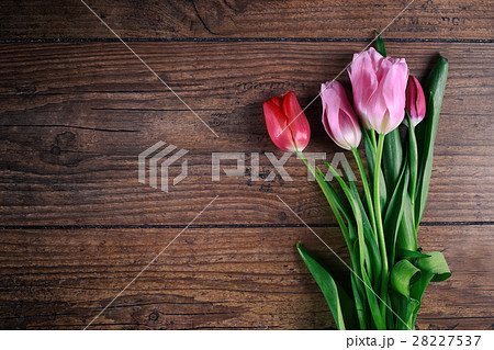 Pink Tulip Flowers on rustic table for March 8 28227537