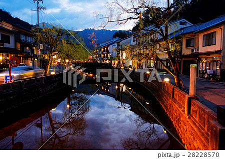 春の城崎温泉 大谿川 春の城崎温泉 大谿川 28228570