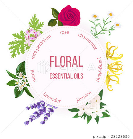 Essential oil round emblem. Rose, Chamomile 28228636