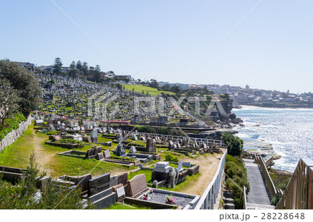 Waverley Cemetery in Sydney Waverley Cemetery in Sydney 28228648