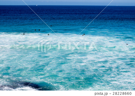 Bronte bay in Sydney 28228660