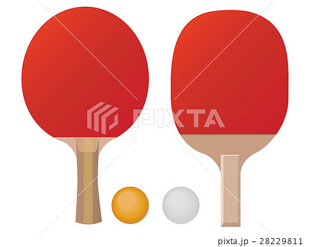 卓球 卓球 28229811