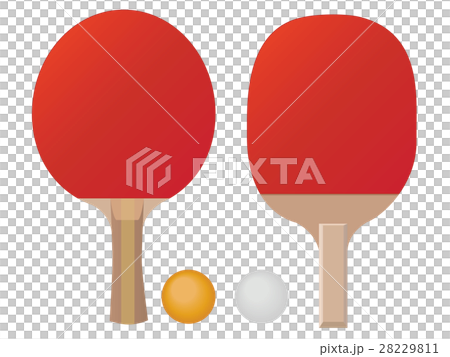 乒乓球 28229811