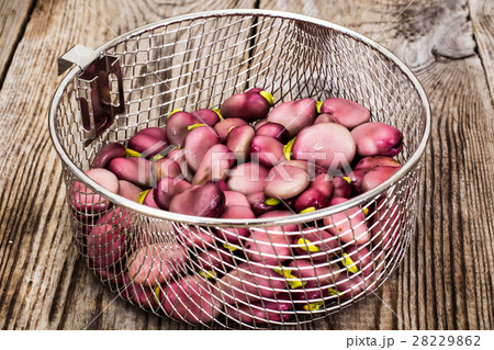 Fresh Tasty Beans Fresh Tasty Beans 28229862