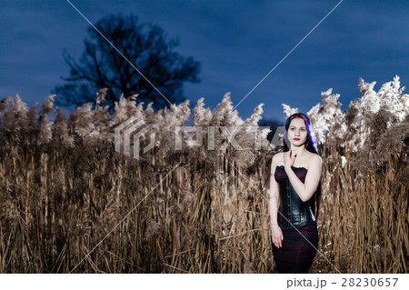 Portrait of the gothic woman in a high, dry grass 28230657