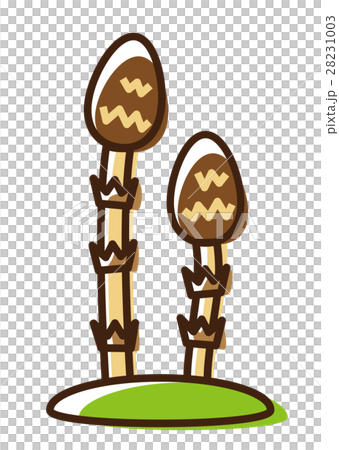 Horsetail 28231003