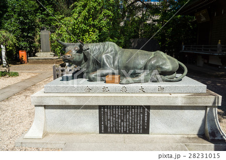 布多天神社　御大典記念　牛像　東京都　調布市 28231015