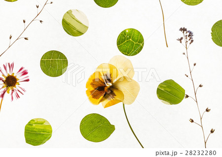 nature background nature background 28232280