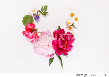 nice flowers 28232281