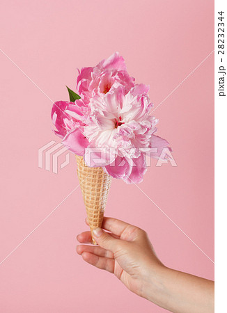 peony in the waffle cone peony in the waffle cone 28232344