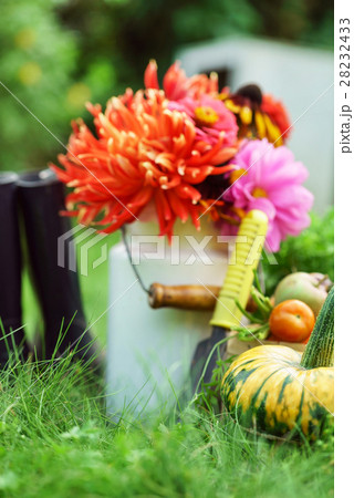 autumn arrangement 28232433