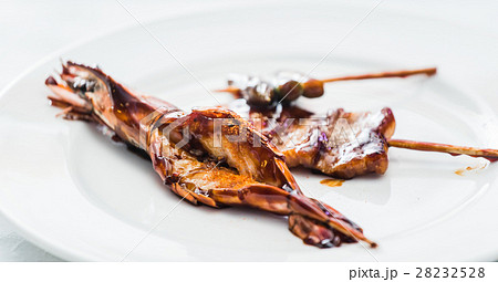 grilled kebab 28232528