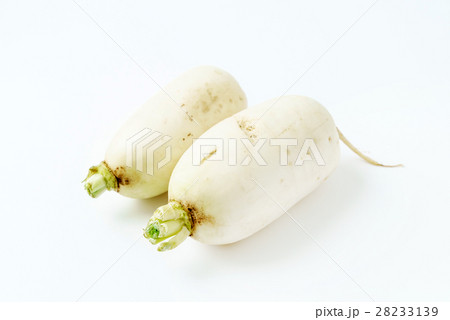 white radish 28233139