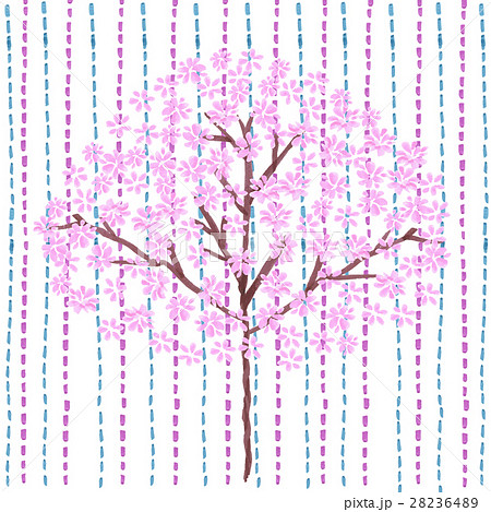 桜のある背景 28236489