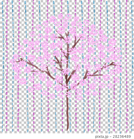 桜のある背景 28236489