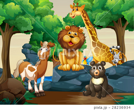 Different types of wild animals in the forest 28236934