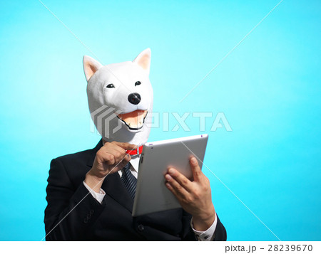 ポチりそうなポチ。ポチ・ケンドッグさん（うお座-寅年-A型） 28239670