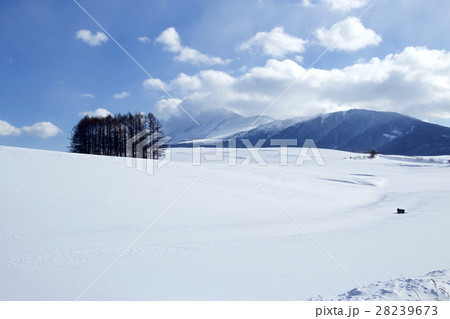 嬬恋と浅間山　雪景色 28239673