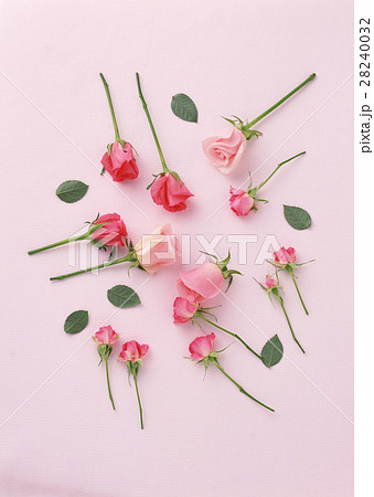 バラ バラ 28240032