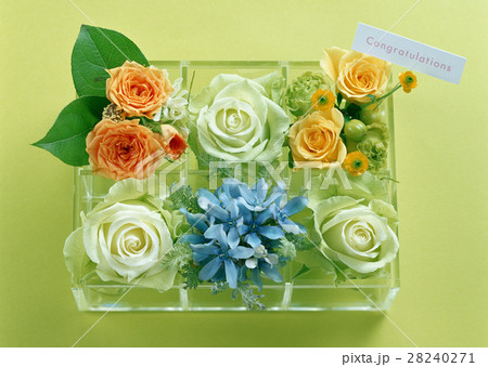 フラワーボックス 28240271