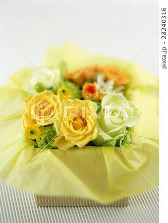 フラワーボックス 28240316