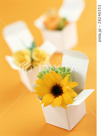 フラワーボックス 28240353