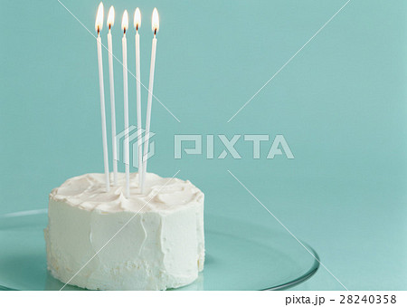 ケーキ 28240358