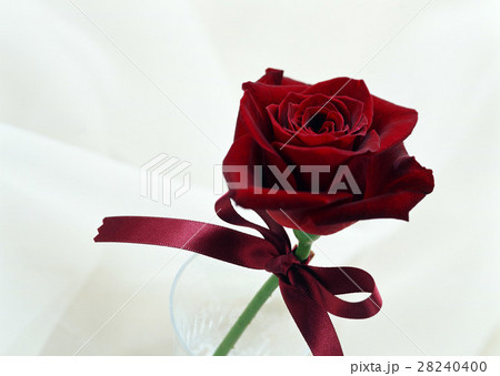 バラ バラ 28240400