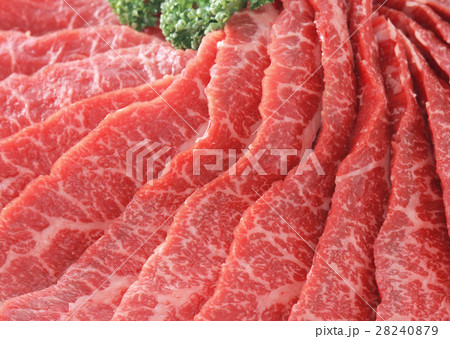 牛カルビ 28240879