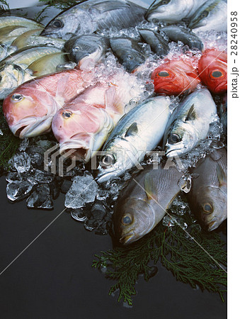 魚介いろいろ 魚介いろいろ 28240958