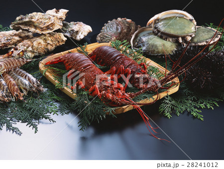 魚介いろいろ 28241012