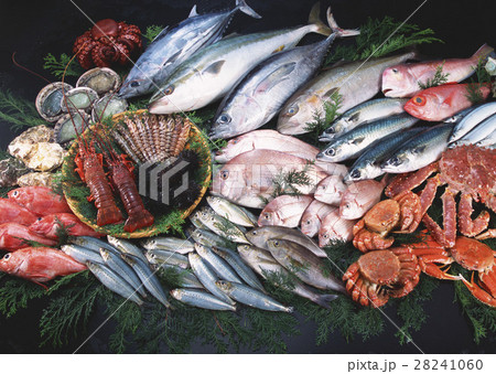 魚介いろいろ 28241060
