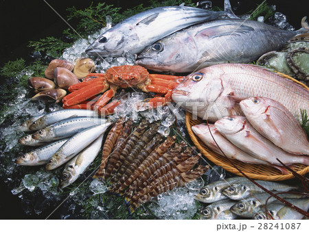 魚介いろいろ 28241087