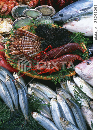魚介いろいろ 魚介いろいろ 28241095