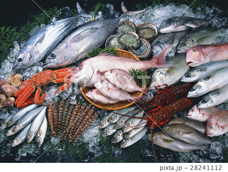 魚介いろいろ 28241112