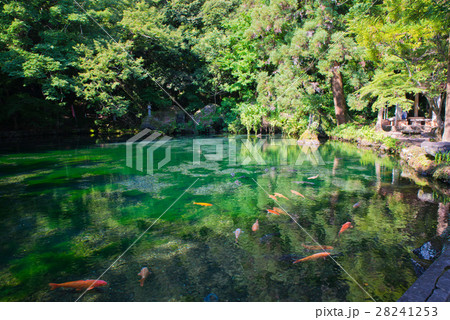出流原弁天池 出流原弁天池湧水 出流原弁天池 出流原弁天池湧水 28241253