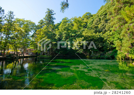 出流原弁天池 出流原弁天池湧水 出流原弁天池 出流原弁天池湧水 28241260