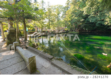 出流原弁天池 出流原弁天池湧水 出流原弁天池 出流原弁天池湧水 28241270