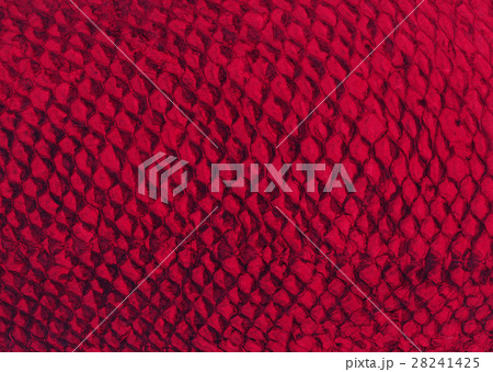 ワニ革 ワニ革 28241425