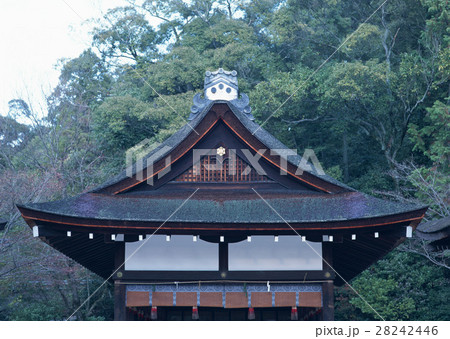 伏見稲荷大社 28242446