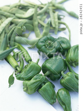 緑の野菜いろいろ 28242451