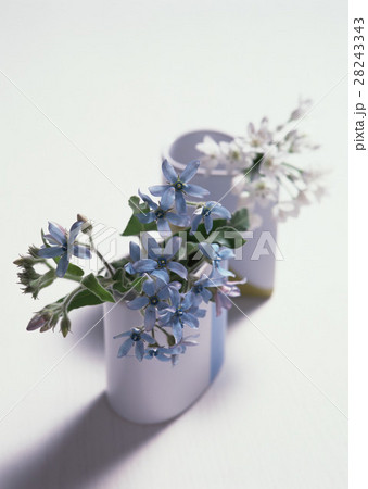 フラワーアレンジメント フラワーアレンジメント 28243343