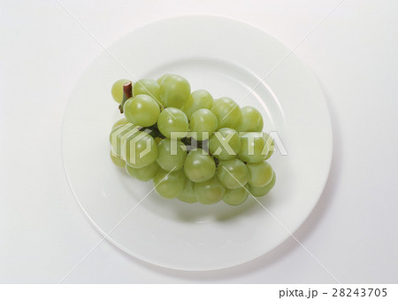 ブドウ 28243705