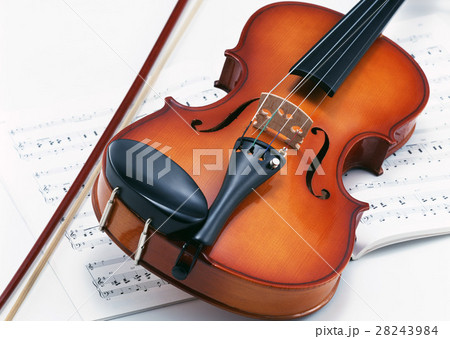 ヴァイオリン ヴァイオリン 28243984